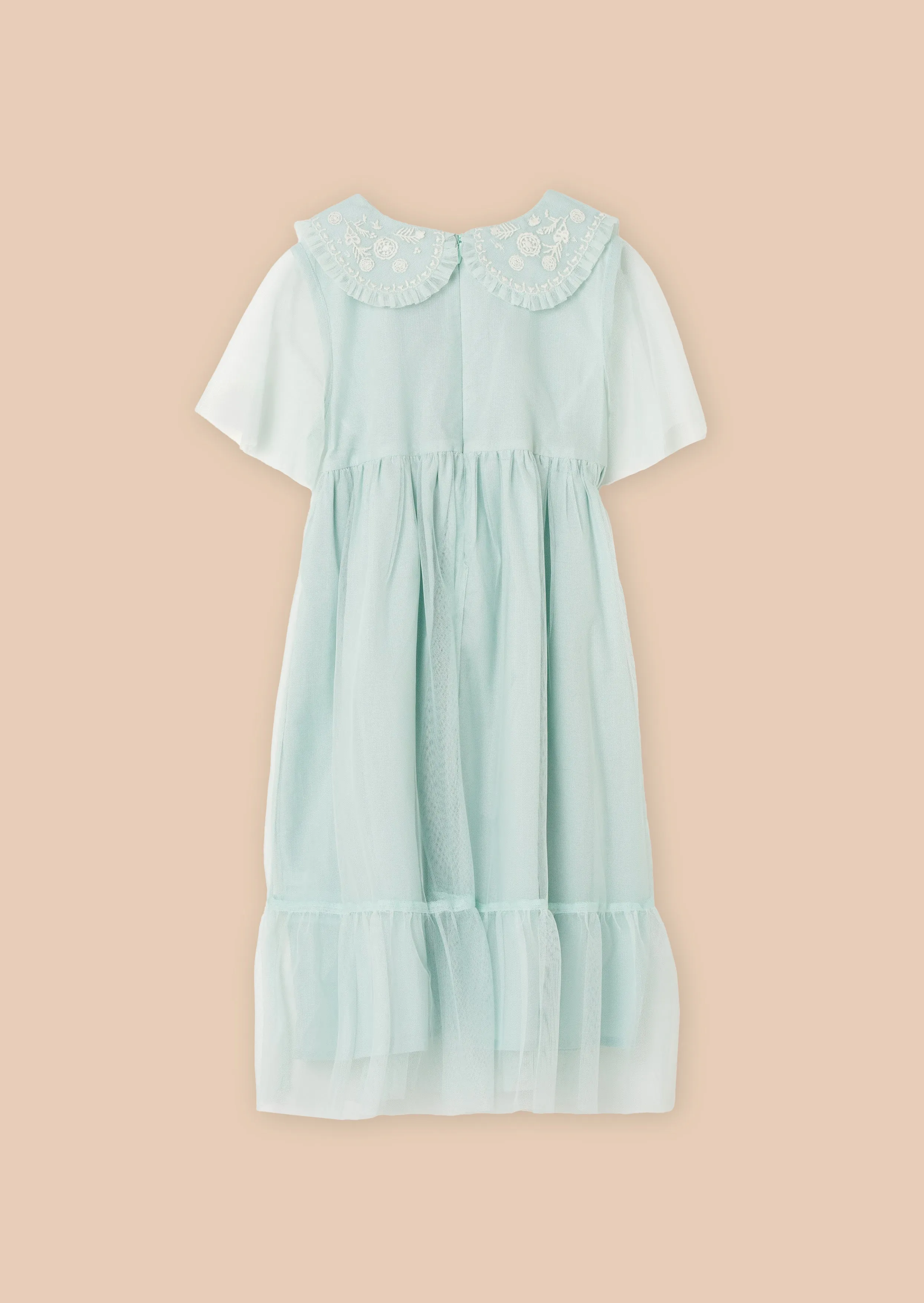 Daisy Embroidered Collar Mesh Dress