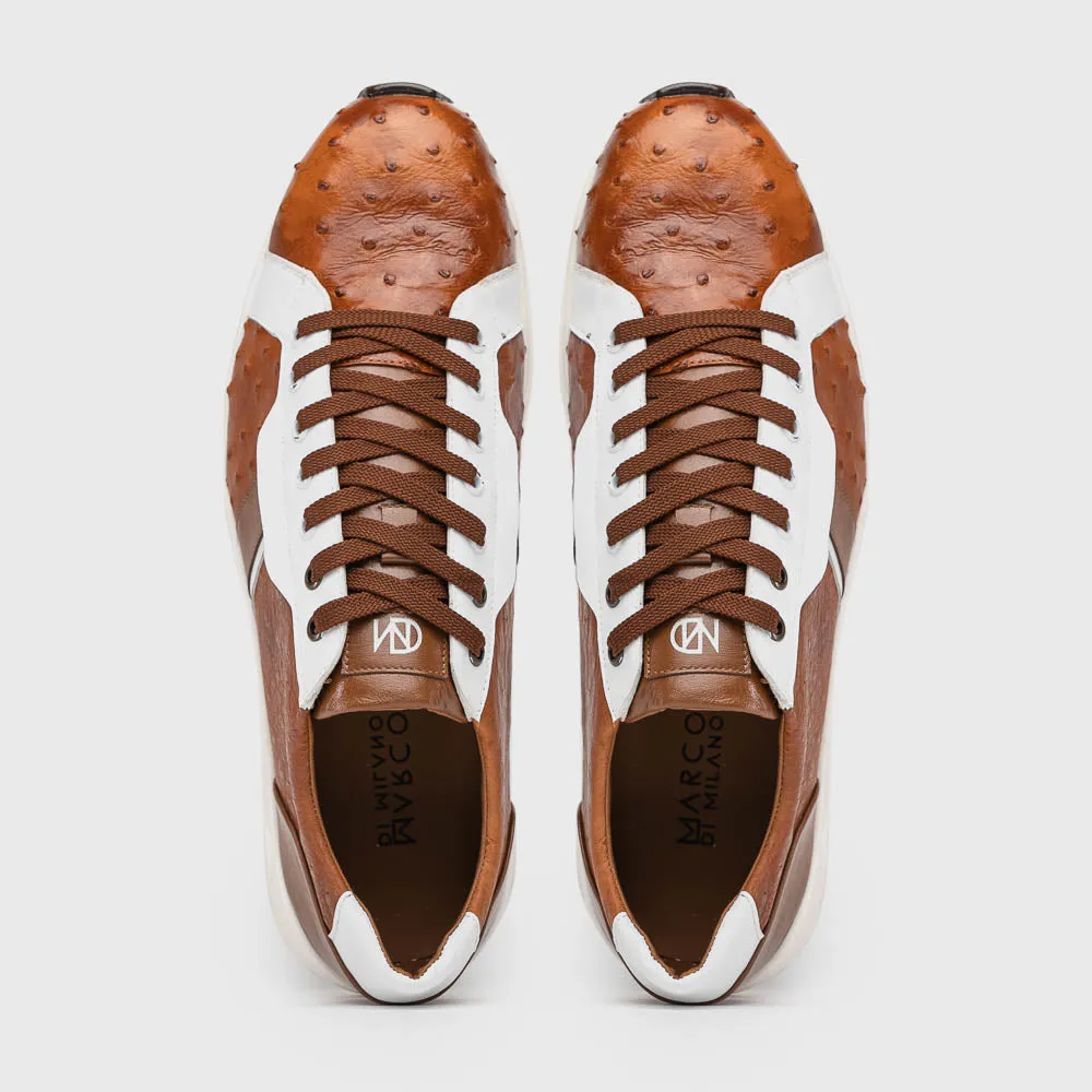 Lyon II - Brandy/White